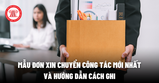 Mẫu Đơn Xin Chuyển Công Tác Về Gần Nhà cập nhật 2023 Beautiful