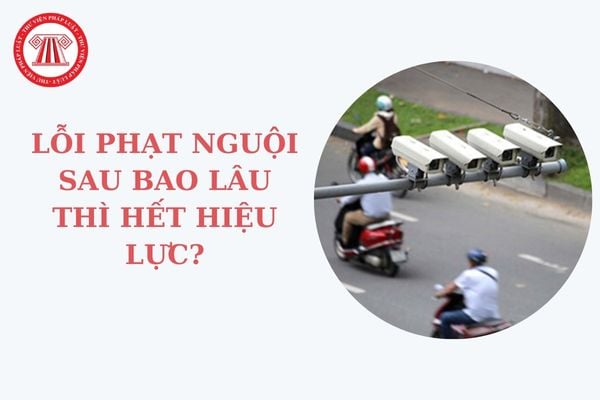 Lỗi phạt nguội sau bao lâu thì hết hiệu lực? Lỗi phạt nguội khi nào có thông báo? Hướng dẫn Tra cứu phạt nguội?