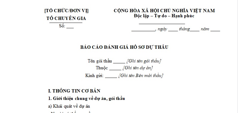 mẫu báo cáo đánh giá 2a