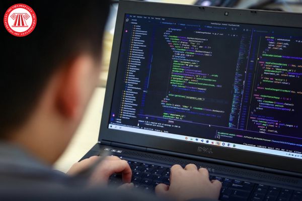 Công ty công nghệ thông tin muốn ký hợp đồng lao động với cậu bé 14 tuổi về vị trí lập trình viên phần mềm thì có được không?