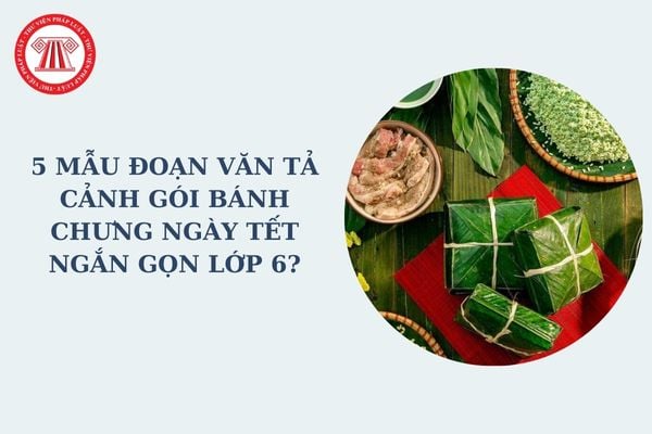 5 mẫu đoạn văn tả cảnh gói bánh chưng ngày Tết ngắn gọn lớp 6? Hình thức đánh giá kết quả rèn luyện và học tập đối với học sinh lớp 6?