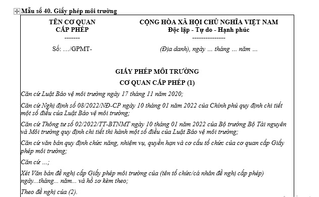 mẫu giấy phép môi trường