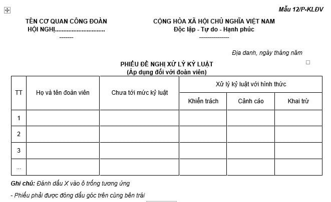 mẫu phiếu số 12