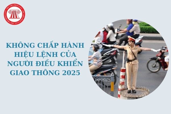 Không chấp hành hiệu lệnh của người điều khiển giao thông 2025 bị phạt bao nhiêu? Quy định về hiệu lệnh của người điều khiển giao thông?