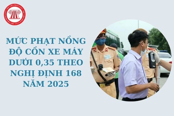 Mức phạt nồng độ cồn xe máy dưới 0,35 theo Nghị định 168 năm 2025 là bao nhiêu tiền? Có bị giam bằng lái xe không?