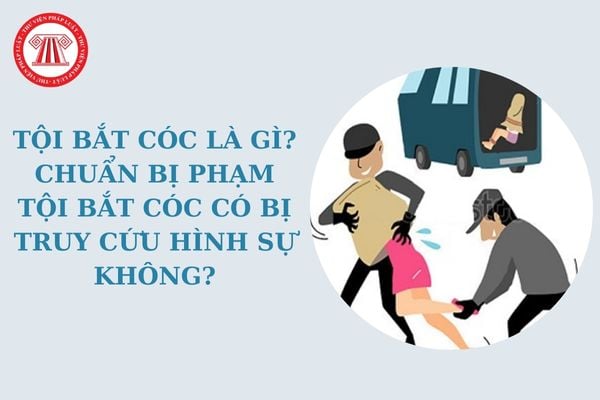 Tội bắt cóc là gì? Chuẩn bị phạm tội bắt cóc có bị truy cứu hình sự không? Tội bắt cóc đi tù bao nhiêu năm?