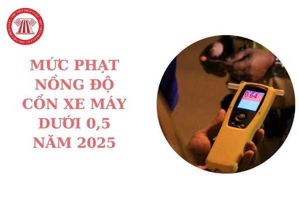 Mức phạt nồng độ cồn xe máy dưới 0,5 năm 2025? Vi phạm nồng độ cồn có bị tịch thu xe máy không?