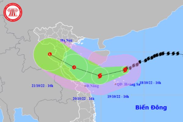 Bão số 6 là gì? Việc đánh số thứ tự các cơn bão nhằm mục đích gì? Bản tin dự báo bão số 6 được ban hành khi nào?