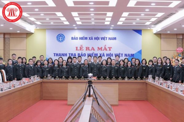 Cơ quan Thanh tra Bảo hiểm xã hội Việt Nam tham mưu giúp Tổng Giám đốc tổ chức thực hiện những hoạt động kiểm tra gì?