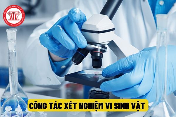 cong-tac-xet-nghiem-vi-sinh-vat