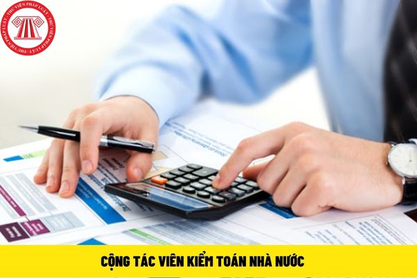 cộng tác viên kiểm toán nhà nước