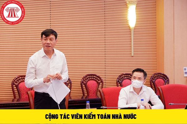 cộng tác viên kiểm toán nhà nước