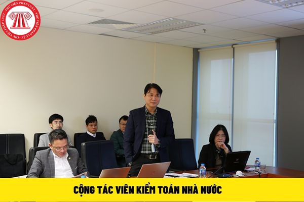 cộng tác viên kiểm toán nhà nước