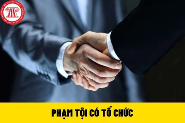 Phạm tội có tổ chức là gì