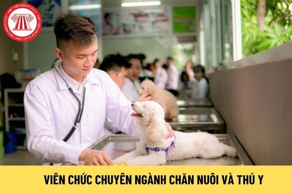 viên chức chuyên ngành chăn nuôi và thú y