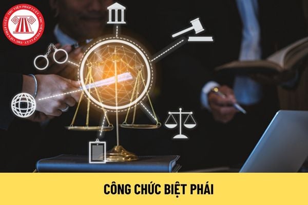 Công chức biệt phái vi phạm kỷ luật