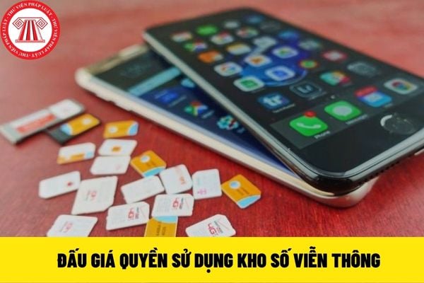 Đấu giá quyền sử dụng kho số viễn thông