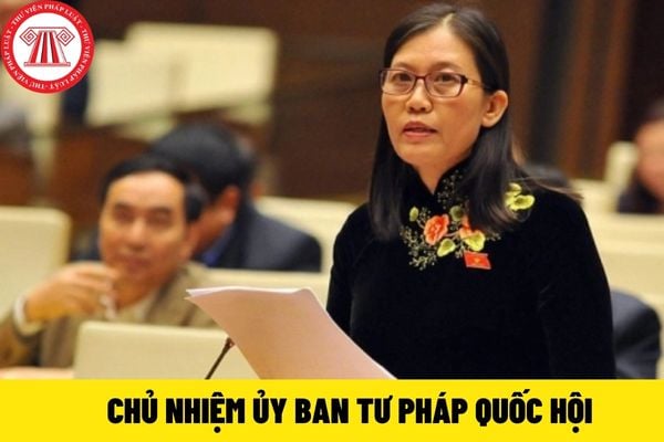 Chủ nhiệm Ủy ban tư pháp Quốc hội