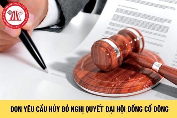 Đơn yêu cầu hủy bỏ nghị quyết Đại hội đồng cổ đông