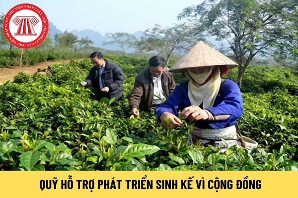 Phó Chủ tịch Hội đồng quản lý Quỹ Hỗ trợ phát triển sinh kế vì cộng đồng do ai bầu? Có nhiệm kỳ mấy năm? 