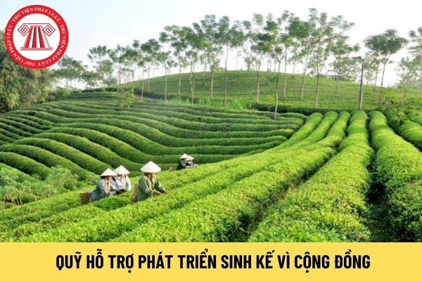 Chủ tịch Hội đồng quản lý Quỹ Hỗ trợ phát triển sinh kế vì cộng đồng có bắt buộc là công dân Việt Nam không?