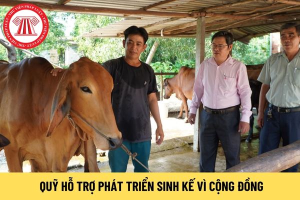 Hội đồng quản lý Quỹ Hỗ trợ phát triển sinh kế vì cộng đồng thuê người khác làm Giám đốc Quỹ được không?