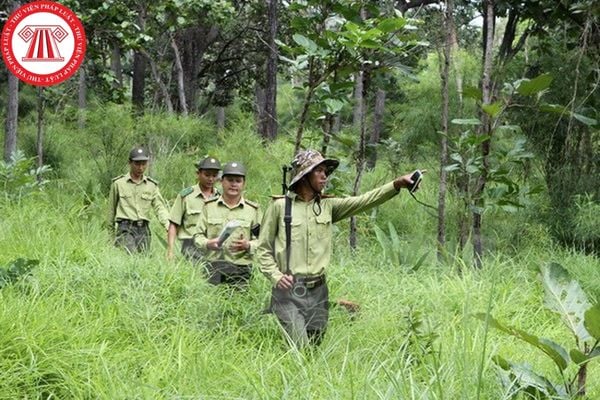 Kiểm lâm viên