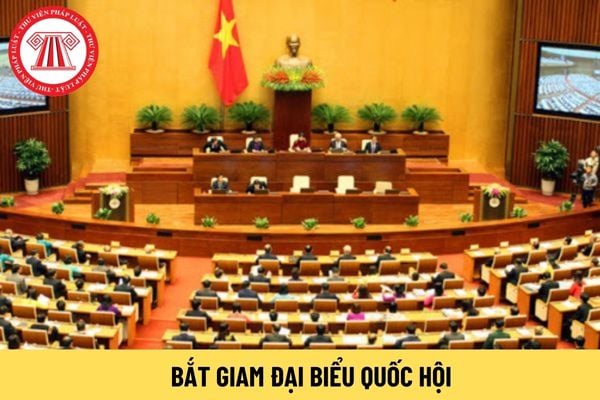 Bắt giam đại biểu Quốc hội