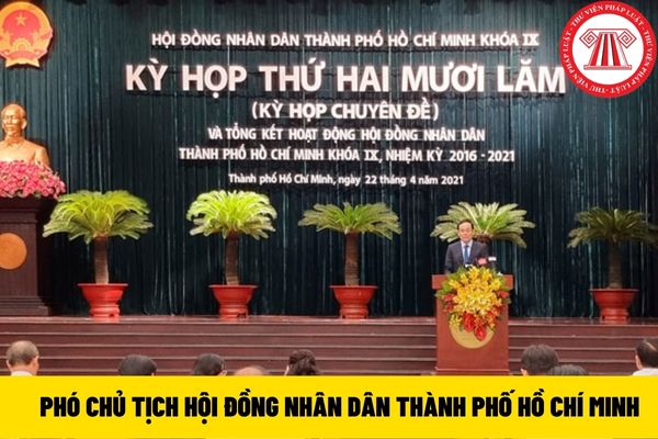 Hội đồng nhân dân thành phố Hồ Chí Minh