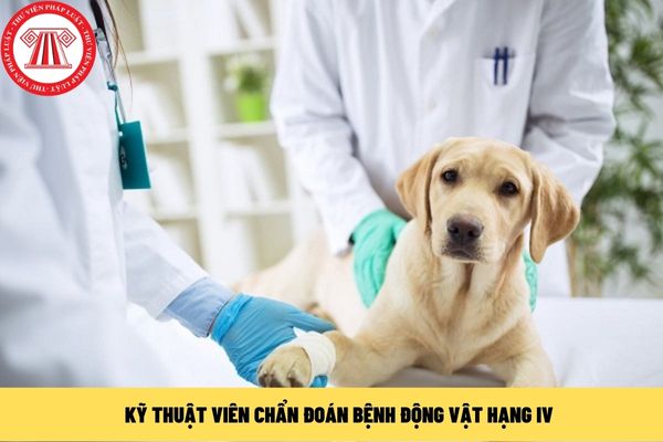 Kỹ thuật viên chẩn đoán bệnh động vật 