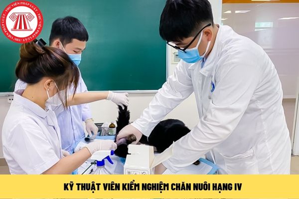 kỹ thuật viên kiểm nghiệm chăn nuôi