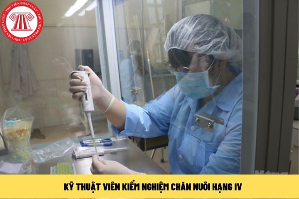 kỹ thuật viên kiểm nghiệm chăn nuôi