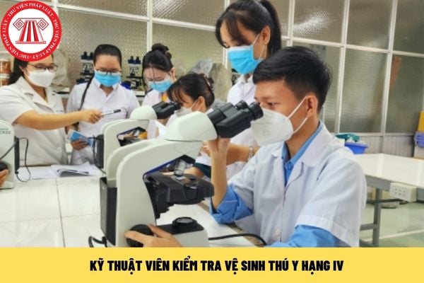 Kỹ thuật viên kiểm tra vệ sinh thú y