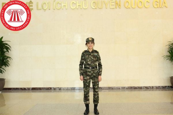 cấp hiệu hải quan