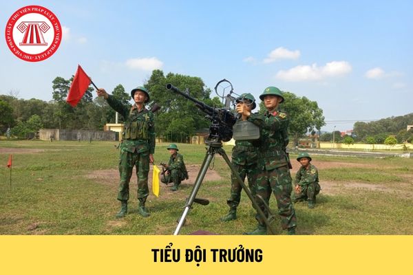 Tiểu đội trưởng trong Quân đội nhân dân Việt Nam