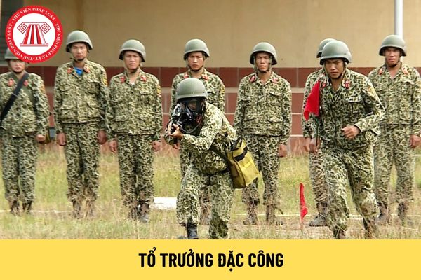 Tổ trưởng Đặc công