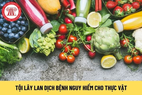 Tội làm lây lan dịch bệnh nguy hiểm cho thực vật