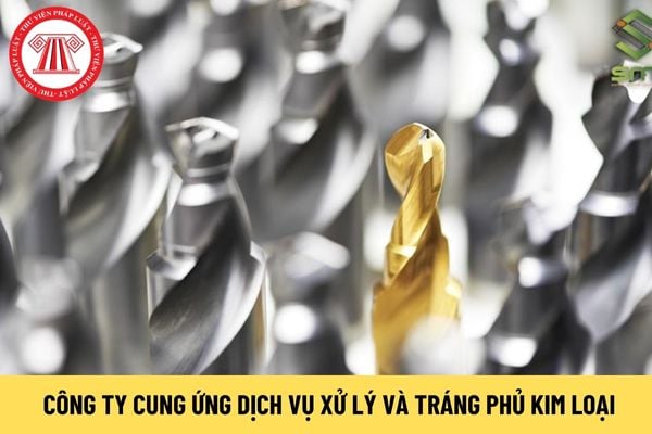 Công ty cung ứng dịch vụ xử lý và tráng phủ kim loại có được giảm thuế GTGT từ 10% xuống 8% không?