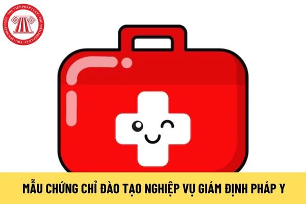 Mẫu Chứng chỉ đào tạo nghiệp vụ giám định pháp y