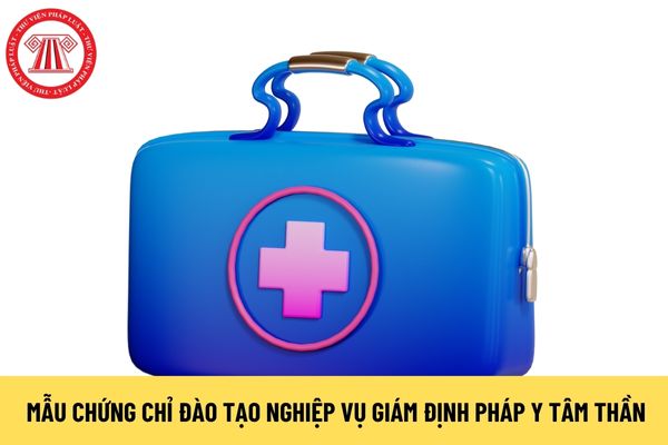 Mẫu Chứng chỉ đào tạo nghiệp vụ giám định pháp y tâm thần