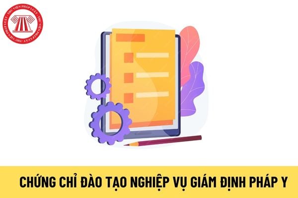 Chứng chỉ đào tạo nghiệp vụ giám định pháp y