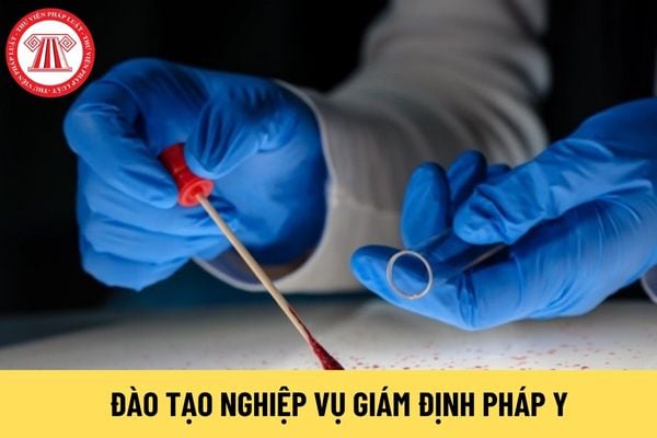 giám định pháp y