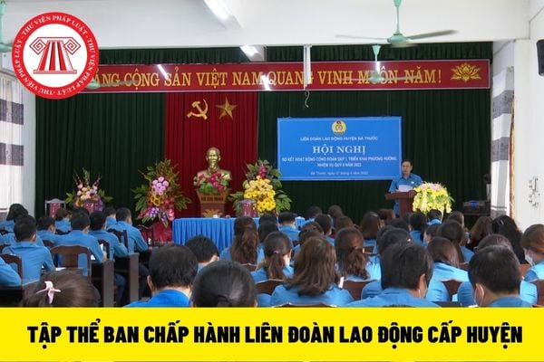 ban chấp hành liên đoàn lao động cấp huyện