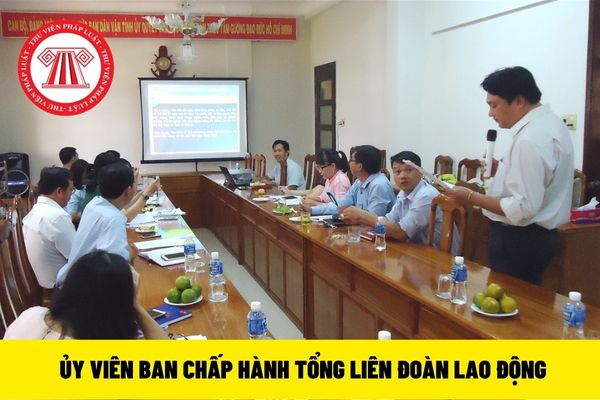 Ủy viên Ban Chấp hành Tổng Liên đoàn Lao động Việt Nam 