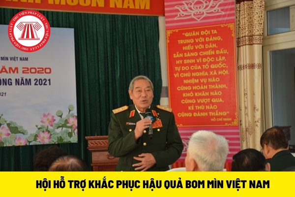 Hội viên danh dự Hội Hỗ trợ khắc phục hậu quả bom mìn Việt Nam