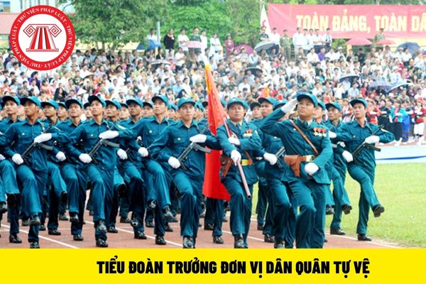 Tiểu đoàn trưởng đơn vị Dân quân tự vệ