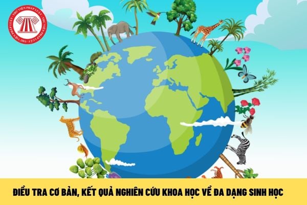 Việc thu nhập thông tin số liệu điều tra cơ bản, kết quả nghiên cứu khoa học về đa dạng sinh học được quy định thế nào?