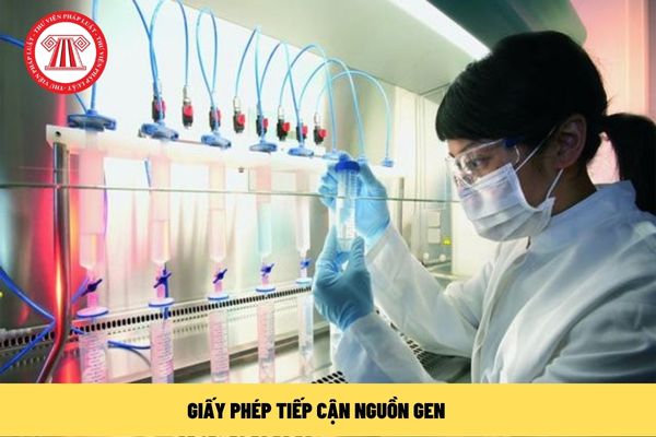 Giấy phép tiếp cận nguồn gen