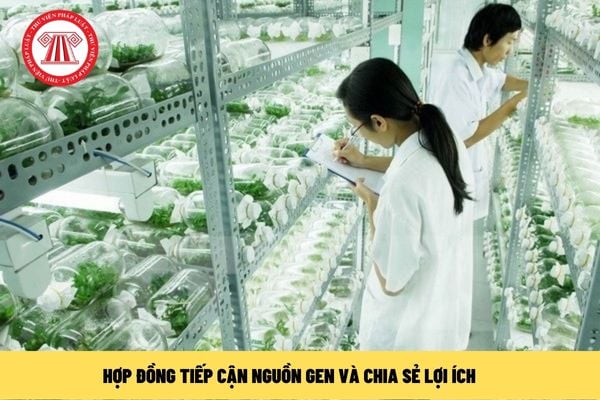 Hợp đồng tiếp cận nguồn gen và chia sẻ lợi ích