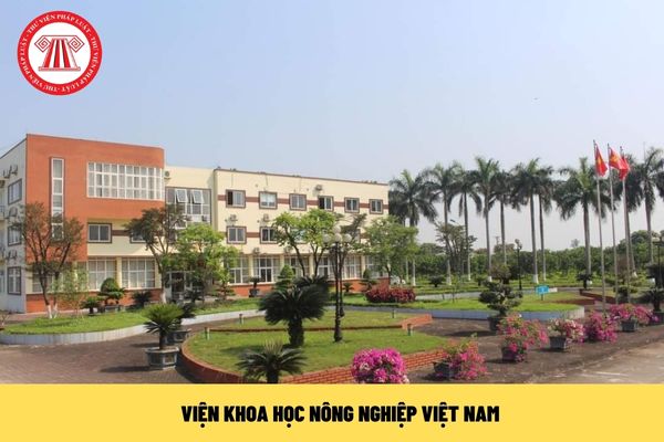 Viện Khoa học Nông nghiệp Việt Nam thực hiện nghiên cứu khoa học thuộc các lĩnh vực nào? Các đơn vị nào trực thuộc Viện Khoa học Nông nghiệp Việt Nam?